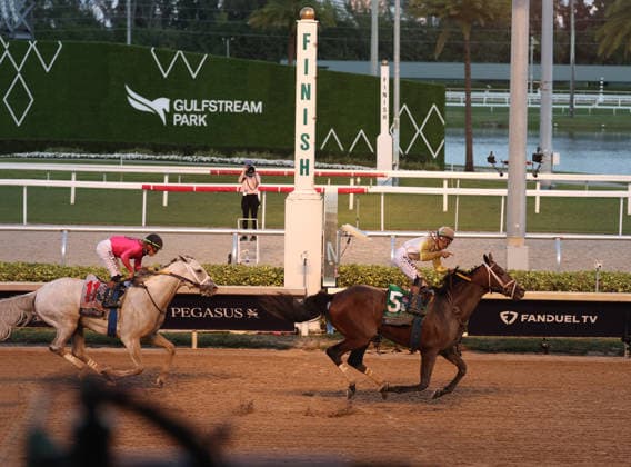 HALLANDALE BEACH, FL - JANUARY 24: Skippylongstocking (5) with jockey Tyler Gaffalione takes the lead against White Albarrio (11) with jockey Irad Ortiz, Jr. during the Pegasus World Cup Invitational horse race on January 24, 2026, at Gulfstream Park in Hallandale Beach, Florida People: Skippylongstocking, Tyler Gaffalione . Copyright: xhoo-me.com MediaPunchx