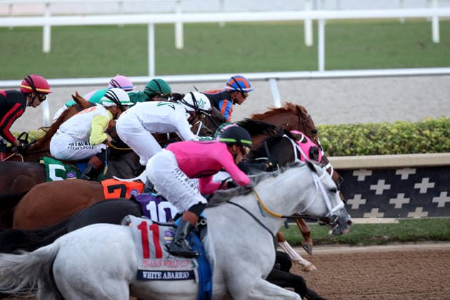 HALLANDALE BEACH, FL - JANUARY 24: Skippylongstocking (5) with jockey Tyler Gaffalione takes the lead against White Albarrio (11) with jockey Irad Ortiz, Jr. during the Pegasus World Cup Invitational horse race on January 24, 2026, at Gulfstream Park in Hallandale Beach, Florida People: Skippylongstocking, Tyler Gaffalione . Copyright: xhoo-me.com MediaPunchx