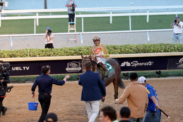 HALLANDALE BEACH, FL - JANUARY 24: Skippylongstocking (5) with jockey Tyler Gaffalione takes the lead against White Albarrio (11) with jockey Irad Ortiz, Jr. during the Pegasus World Cup Invitational horse race on January 24, 2026, at Gulfstream Park in Hallandale Beach, Florida People: Skippylongstocking, Tyler Gaffalione . Copyright: xhoo-me.com MediaPunchx