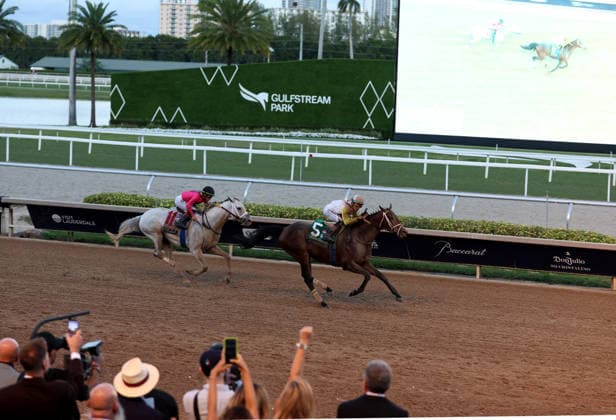 HALLANDALE BEACH, FL - JANUARY 24: Skippylongstocking (5) with jockey Tyler Gaffalione takes the lead against White Albarrio (11) with jockey Irad Ortiz, Jr. during the Pegasus World Cup Invitational horse race on January 24, 2026, at Gulfstream Park in Hallandale Beach, Florida People: Skippylongstocking, Tyler Gaffalione . Copyright: xhoo-me.com MediaPunchx