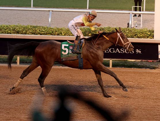 HALLANDALE BEACH, FL - JANUARY 24: Skippylongstocking (5) with jockey Tyler Gaffalione takes the lead against White Albarrio (11) with jockey Irad Ortiz, Jr. during the Pegasus World Cup Invitational horse race on January 24, 2026, at Gulfstream Park in Hallandale Beach, Florida People: Skippylongstocking, Tyler Gaffalione . Copyright: xhoo-me.com MediaPunchx