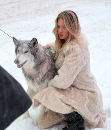 Holly Graves Photoshoot With A Wolf In Times Square - NYC U.S model Holly Graves is doing a photoshoot with a wolf on the middle of Times Square during a winter snow storm in New York, NY on January 25, 2026. Photo by Dylan Travis ABACAPRESS.COM New York City NY United States  Copyright: xDylanxTravis ABACAx