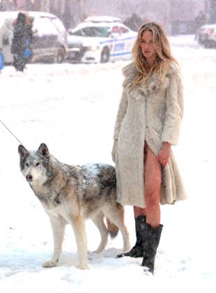 Holly Graves Photoshoot With A Wolf In Times Square - NYC U.S model Holly Graves is doing a photoshoot with a wolf on the middle of Times Square during a winter snow storm in New York, NY on January 25, 2026. Photo by Dylan Travis ABACAPRESS.COM New York City NY United States  Copyright: xDylanxTravis ABACAx