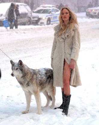 Holly Graves Photoshoot With A Wolf In Times Square - NYC U.S model Holly Graves is doing a photoshoot with a wolf on the middle of Times Square during a winter snow storm in New York, NY on January 25, 2026. Photo by Dylan Travis ABACAPRESS.COM New York City NY United States  Copyright: xDylanxTravis ABACAx