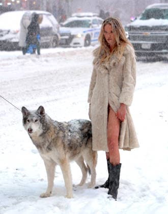Holly Graves Photoshoot With A Wolf In Times Square - NYC U.S model Holly Graves is doing a photoshoot with a wolf on the middle of Times Square during a winter snow storm in New York, NY on January 25, 2026. Photo by Dylan Travis ABACAPRESS.COM New York City NY United States  Copyright: xDylanxTravis ABACAx