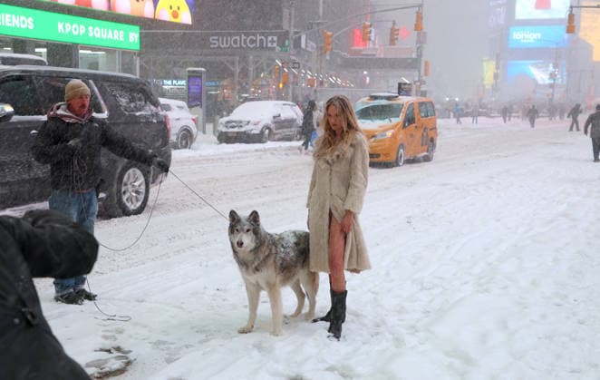 Holly Graves Photoshoot With A Wolf In Times Square - NYC U.S model Holly Graves is doing a photoshoot with a wolf on the middle of Times Square during a winter snow storm in New York, NY on January 25, 2026. Photo by Dylan Travis ABACAPRESS.COM New York City NY United States  Copyright: xDylanxTravis ABACAx