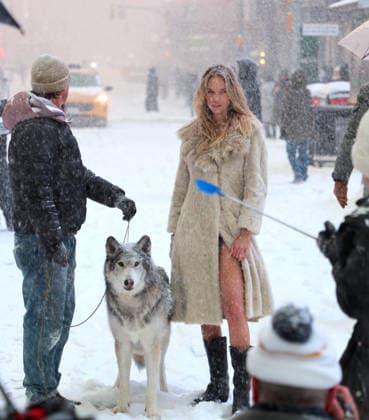 Holly Graves Photoshoot With A Wolf In Times Square - NYC U.S model Holly Graves is doing a photoshoot with a wolf on the middle of Times Square during a winter snow storm in New York, NY on January 25, 2026. Photo by Dylan Travis ABACAPRESS.COM New York City NY United States  Copyright: xDylanxTravis ABACAx