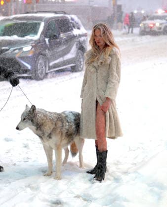 Holly Graves Photoshoot With A Wolf In Times Square - NYC U.S model Holly Graves is doing a photoshoot with a wolf on the middle of Times Square during a winter snow storm in New York, NY on January 25, 2026. Photo by Dylan Travis ABACAPRESS.COM New York City NY United States  Copyright: xDylanxTravis ABACAx