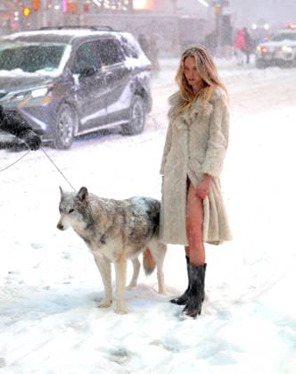 Holly Graves Photoshoot With A Wolf In Times Square - NYC U.S model Holly Graves is doing a photoshoot with a wolf on the middle of Times Square during a winter snow storm in New York, NY on January 25, 2026. Photo by Dylan Travis ABACAPRESS.COM New York City NY United States  Copyright: xDylanxTravis ABACAx