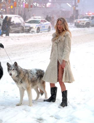 Holly Graves Photoshoot With A Wolf In Times Square - NYC U.S model Holly Graves is doing a photoshoot with a wolf on the middle of Times Square during a winter snow storm in New York, NY on January 25, 2026. Photo by Dylan Travis ABACAPRESS.COM New York City NY United States  Copyright: xDylanxTravis ABACAx