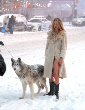 Holly Graves Photoshoot With A Wolf In Times Square - NYC U.S model Holly Graves is doing a photoshoot with a wolf on the middle of Times Square during a winter snow storm in New York, NY on January 25, 2026. Photo by Dylan Travis ABACAPRESS.COM New York City NY United States  Copyright: xDylanxTravis ABACAx