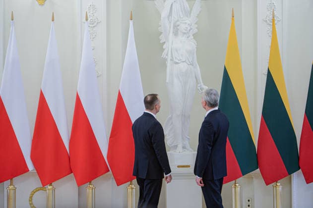 January 25, 2026, Vilnius, Lithuania: Polish President Karol Nawrocki and Lithuanian President Gitanas Nauseda seen during the official meeting at Presidential Palace. Polish President Karol Nawrocki, Ukrainian President Volodymyr Zelenskyy, and Lithuanian President Gitanas Nauseda met in Vilnius on Sunday to mark the 163rd anniversary of the January Uprising. The leaders, accompanied by the First Ladies, took part in commemorative events including a solemn Mass at Vilnius Cathedral and wreath-laying ceremonies at the Old Rasai Cemetery, honoring the 1863 1864 uprising against the Russian Empire...Within the Lublin Triangle framework, the presidents also discussed regional security, military cooperation, and developments related to Russi - ZUMAs197 20260125_aaa_s197_532 Copyright: xYauhenxYerchakx