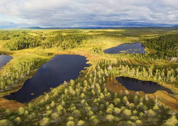 Grüne Waldlandschaft mit blauen Seen unter einem bewölkten Himmel in ruhiger Atmosphäre, Härjedalen, Jämtlands län, Schweden Green forest landscape with blue lakes under a cloudy sky in a calm atmosphere, Härjedalen, Jämtlands län, Sweden Copyright: imageBROKER C.Kosanetzky ibxkos16210611.jpg
