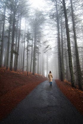 Frau in rotem Mantel wandert auf einem ruhigen Waldweg und erkundet die Natur. Troodos-Wald, Zypern. Menschen, die sich im Freien aktiv betätigen. Woman walking along a hiking path in a forest, wearing a red coat. solitude and tranquility. People active outdoors. Troodos Cyprus. Healthy lifestyle (License=RM) ,model released, Symbolfoto Copyright: xZoonar.com MichalakisxPpalisx 24518037 ,model released, Symbolfoto ,property released