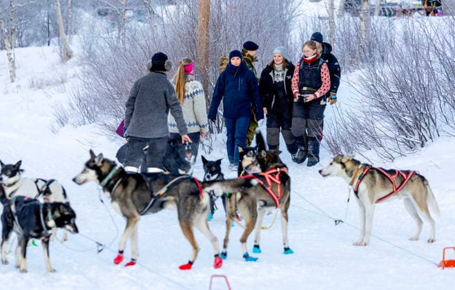 27-01-2026 Norway Princess Ingrid Alexandra during a dog sledding tour along a route used in the Finnmark race and the Barents secretariat in Kirkenes. Â  Copyright: xPPEx