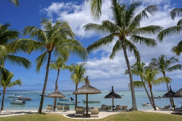 Palme, Wolke, Himmel, Meer, Sandstrand, Natur, Sonnenschirme, Boote, Le Morne, Mauritius Palm tree, cloud, sky, sea, sandy beach, nature, umbrellas, boats, Le Morne, Mauritius Copyright: imageBROKER ErichxSchmidt ibxeri16287132.jpg