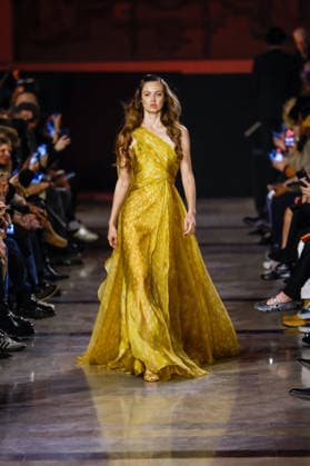 Lindsey Wixson Elie Saab Haute Couture Spring Summer 2026 show as part of Paris Fashion Week PFW at Musée Rodin, Paris, France, January 28, 2026 Bestimage Runway Elie Saab Haute Couture Week Spring Summer 2026 show as part of Paris Fashion Week on January 28, 2026 in Paris, France Paris France  Copyright: xAgencex xBestimagexAgencex xBestimagex