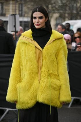 PFW Haute Couture Elie Saab Outside Arrivals Carolina Mendes arriving at Elie Saab show during Paris Fashion Week Haute Couture in Paris, France on January 28, 2026. Photo by Julien Reynaud APS-Medias ABACAPRESS.COM Paris France  Copyright: xReynaudxJulien APS-Medias ABACAx