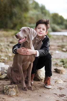 Ein fröhlicher, lächelnder Teenager spielt im Herbst draußen mit einem Hund. Happy smiling teen boy plays with a dog in the autumn outdoor (License=RF) ,model released, Symbolfoto Copyright: xZoonar.com UliaxZotaninax 24552945 ,model released, Symbolfoto ,property released