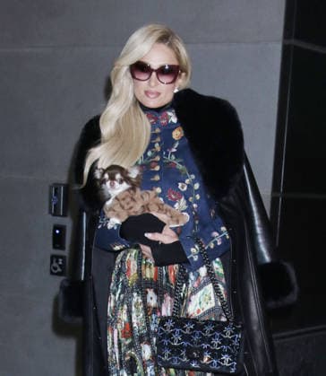 Paris Hilton on Watch What Happens Live with Andy Cohen to talk about new film Infinite Icon: A Visual Memoir Featuring: Paris Hilton with her dog Where: New York City, New York, United States When: 28 Jan 2026 Credit: Roger Wong INSTARimages EDITORIAL USE ONLY. NOT FOR USE BY NEWSPAPERS BASED IN THE UK. Copyright: xx instar55421448
