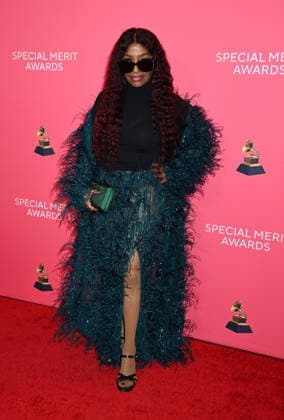 Special Merit Awards Ceremony & 68th Annual GRAMMY Nominees Reception Chaka Khan arriving to the Special Merit Awards Ceremony & 68th Annual GRAMMY Nominees Reception held at the Wilshire Ebell on January 31, 2026 in Los Angeles, Ca. Los Angeles Wilshire Ebell California USA Copyright: xTammiexArroyox xAFF-USA.comx