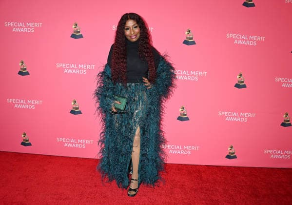 Special Merit Awards Ceremony & 68th Annual GRAMMY Nominees Reception Chaka Khan arriving to the Special Merit Awards Ceremony & 68th Annual GRAMMY Nominees Reception held at the Wilshire Ebell on January 31, 2026 in Los Angeles, Ca. Los Angeles Wilshire Ebell California USA Copyright: xTammiexArroyox xAFF-USA.comx
