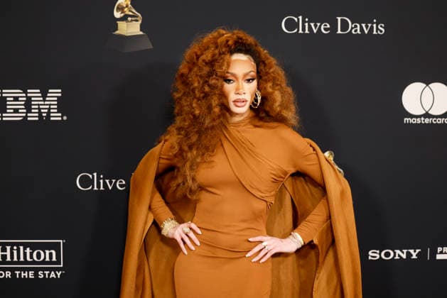 Winnie Harlow arrives on the red carpet for the Pre-Grammy Gala on the eve of the 68th Annual Grammy Awards in Los Angeles on Saturday, January 31, 2026.  LAP20260131931 CAROLINExBREHMAN