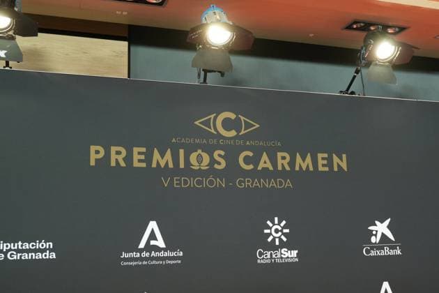 at photocall for 5 edition of Carmen awards in Granada on Saturday, 31 January 2026 Cordon Press 