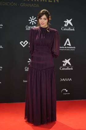at photocall for 5 edition of Carmen awards in Granada on Saturday, 31 January 2026 Cordon Press 