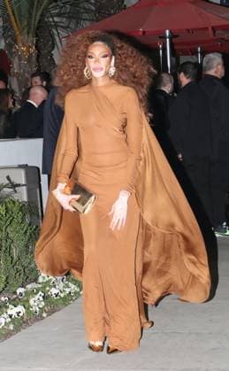 Pre-GRAMMY Gala & GRAMMY Salute to Industry Icons Honoring Avery Lipman and Monte Lipman Winnie Harlow at the 68th GRAMMY Awards Pre-GRAMMY Gala & GRAMMY Salute to Industry Icons Honoring Avery Lipman and Monte Lipman at The Beverly Hilton, Los Angeles, USA, 31 January 2026., Credit:MHD Avalon  Copyright: xMHDx xAvalonx 1071176220