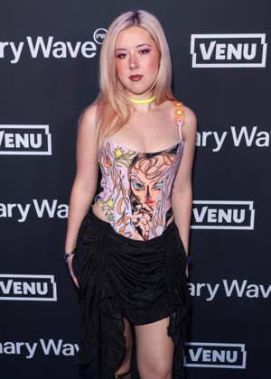 Primary Wave Music 20th Anniversary Pre-Grammy Party BEVERLY HILLS, LOS ANGELES, CALIFORNIA, USA - JANUARY 31: WALLIS (Wallis Schriver) arrives at the Primary Wave Music 20th Anniversary Pre-Grammy Party (68th Annual Grammy Awards) held at the Waldorf Astoria Beverly Hills Hotel on January 31, 2026 in Beverly Hills, Los Angeles, California, United States., Credit:Xavier Collin Avalon United States, California, Beverly Hills, Waldorf Astoria Beverly Hills Hotel Copyright: xXavierxCollinx xAvalonx 1071198937
