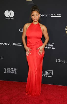 Pre-GRAMMY Gala & GRAMMY Salute to Industry Icons Honoring Avery Lipman and Monte Lipman Halle Bailey at the Pre-GRAMMY Gala & GRAMMY Salute to Industry Icons Honoring Avery Lipman and Monte Lipman, The Beverly Hilton, Los Angeles, USA, 31 January 2026, Credit:Faye Sadou Avalon  Copyright: xFayexSadoux xAvalonx 1071204138