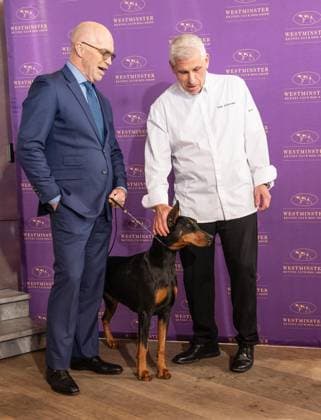 February 4, 2026, Bronx, New York, USA: Dr. Donald G. Sturz, President of the Westminster Kennel Club and Chef Ralph Scamardella pose with Penny the Doberman Pinscher at Westminster Kennel Club Dog Show Champion s Lunch at Peak with Priceless restaurant at The Edge observation deck in New York, NY on February 4, 2026. Bronx USA - ZUMAr339 20260204_znp_r339_106 Copyright: xLevxRadinx