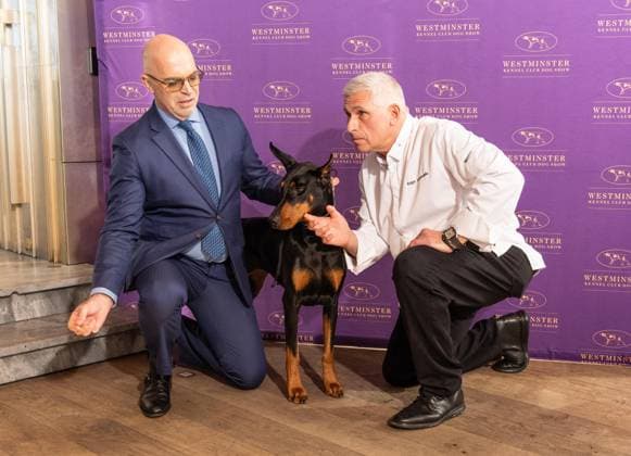 February 4, 2026, Bronx, New York, USA: Dr. Donald G. Sturz, President of the Westminster Kennel Club and Chef Ralph Scamardella pose with Penny the Doberman Pinscher at Westminster Kennel Club Dog Show Champion s Lunch at Peak with Priceless restaurant at The Edge observation deck in New York, NY on February 4, 2026. Bronx USA - ZUMAr339 20260204_znp_r339_107 Copyright: xLevxRadinx