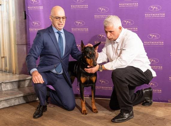 February 4, 2026, Bronx, New York, USA: Dr. Donald G. Sturz, President of the Westminster Kennel Club and Chef Ralph Scamardella pose with Penny the Doberman Pinscher at Westminster Kennel Club Dog Show Champion s Lunch at Peak with Priceless restaurant at The Edge observation deck in New York, NY on February 4, 2026. Bronx USA - ZUMAr339 20260204_znp_r339_108 Copyright: xLevxRadinx