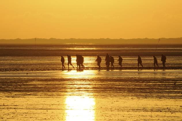 Watt, wattwanderung, wattwandern, ebbe, nordsee, abend, abends, abendsonne, abendlicht, menschen, gruppe, natur, menschengruppe, wandern, wanderer, wattführung Wadden, mudflat hiking, low tide, North Sea, evening, evening sun, evening light, people, group, nature, group of people, hiking, hikers, mudflat Copyright: imageBROKER VolkerxRauch ibliqx16331636.jpg
