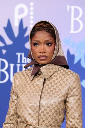 Los Angeles Premiere Of Peacock s The Burbs Season 1 Keke Palmer at the Los Angeles Premiere Of Peacock s The Burbs Season 1 held at Universal Studios Lot on February 5, 2026 in Universal City, Los Angeles, California, United States., Credit:Xavier Collin Avalon USA, Universal City  Copyright: xXavierxCollinx xAvalonx 1072452259