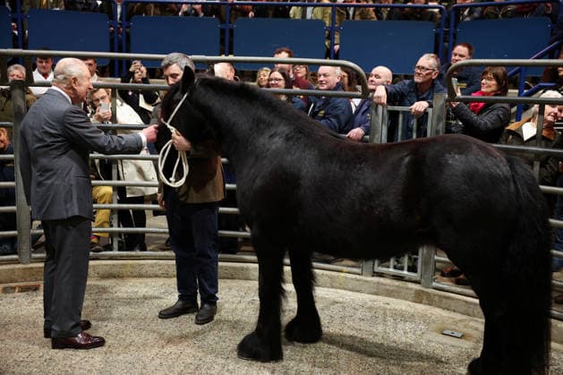 . 09 02 2026. Clitheroe, United Kingdom. King Charles III during a visit to the Clitheroe Auction Mart in Lancashire, United Kingdom.  xPoolx xi-Imagesx IIM-26557-0017