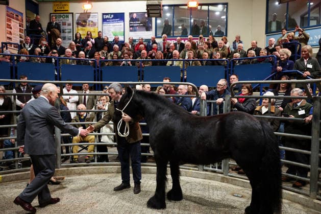 . 09 02 2026. Clitheroe, United Kingdom. King Charles III during a visit to the Clitheroe Auction Mart in Lancashire, United Kingdom.  xPoolx xi-Imagesx IIM-26557-0020