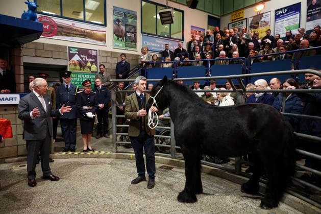 . 09 02 2026. Clitheroe, United Kingdom. King Charles III during a visit to the Clitheroe Auction Mart in Lancashire, United Kingdom.  xPoolx xi-Imagesx IIM-26557-0022