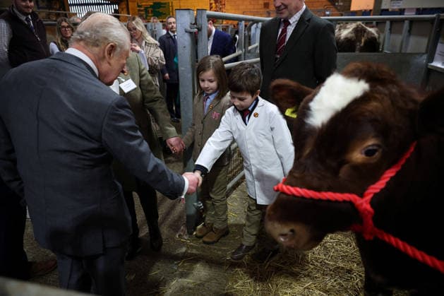 . 09 02 2026. Clitheroe, United Kingdom. King Charles III during a visit to the Clitheroe Auction Mart in Lancashire, United Kingdom.  xPoolx xi-Imagesx IIM-26557-0023