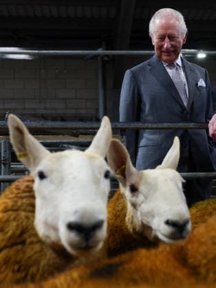 . 09 02 2026. Clitheroe, United Kingdom. King Charles III during a visit to the Clitheroe Auction Mart in Lancashire, United Kingdom.  xPoolx xi-Imagesx IIM-26557-0026