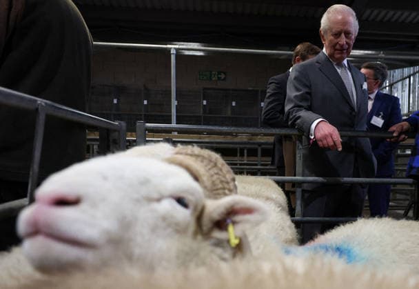 . 09 02 2026. Clitheroe, United Kingdom. King Charles III during a visit to the Clitheroe Auction Mart in Lancashire, United Kingdom.  xPoolx xi-Imagesx IIM-26557-0028