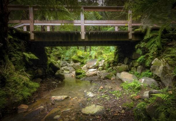 Holzbrücke über einen kleinen Bach im wunderschönen tropischen Regenwald in der Nähe der heißen Quellen von Caldeira Velha Auf der Insel Sao Miguel, Azoren, Portugal Wooden bridge over small stream in the beautiful tropical rainforest near the hot springs of Caldeira Velha On Sao Miguel Island, Azores, Portugal Copyright: imageBROKER PawelxOpaska ibxiqx16101446.jpg ,model released, Symbolfoto ,property released