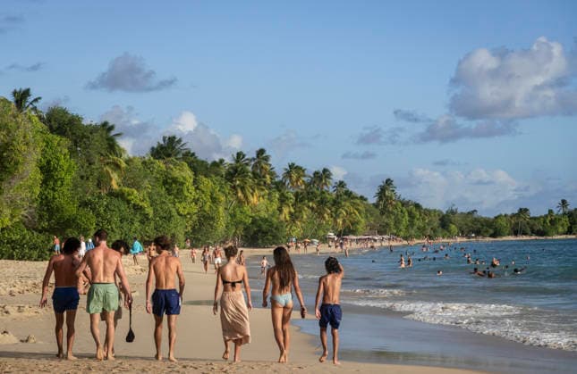 Martinique. Idylle am Strand. - Blick auf den Strand von Sainte-Anne, einen der schönsten Badestrände Martiniques. Der palmengesäumte breite Sandstreifen an einer Bucht im Süden des französischen Übersee-DÃ partements ist auch wegen des glasklaren, türkisfarbenen Wassers bekannt. Fort-de-France Martinique Frankreich *** Martinique idyll on the beach View of the beach of Sainte Anne, one of the most beautiful beaches in Martinique The palm-fringed wide strip of sand on a bay in the south of the French overseas department is also known for its crystal-clear, turquoise waters Fort de France Martinique France