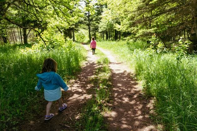 IMAGO Creative, Ostern, Bräuche, Osterspaziergang #2 Two young children walk on a dirt trail through lush woods Copper Harbor, Michigan, United States R_OAXI260206-1958450-01 ,model released, Symbolfoto