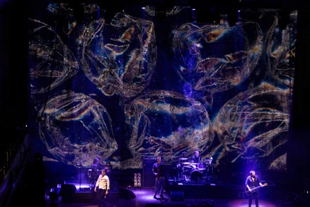 Suede , performs live, at, o2 Cith Hall, Newcastle, Uk, on 14 February 2026 Suede , performs live, at, o2 Cith Hall, Newcastle, Uk, on 14 February 2026, Credit:David Wala Avalon England, Tyne and Wear, Newcastle upon Tyne  Copyright: xDavidxWalax xAvalonx 1075151396