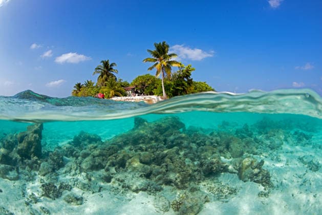 Climate change threatens coral reefs in the Maldives NORTH ARI ATOLL, MALDIVES - JANUARY 24: A general view of the island as coral reefs show severe damage due to rising sea temperatures linked to climate change during dives in the North Ari Atoll, Maldives on January 24, 2026. Observations reveal a significant decline in coral populations, along with coral bleaching. Anemones, schools of snapper fish, hawksbill sea turtles and a dense moray eel population at the area known as fishtank were observed during the dives. Tahsin Ceylan Anadolu Ari Atoll Maldives. Editorial use only. Please get in touch for any other usage.  Copyright: x2026xAnadoluxTahsinxCeylanx