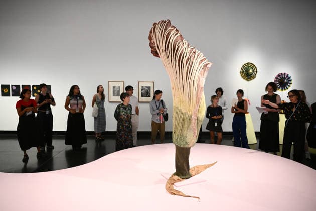 A VELVET ANT A FLOWER AND A BIRD PREVIEW, Guests view works by Ingela Ihrman on display during a preview of A Velvet Ant, A Flower And A Bird an exhibition curated Chus Martinez at the Potter Museum of Art, Melbourne, Tuesday, February 17, 2026. ( NO ARCHIVING MELBOURNE VICTORIA AUSTRALIA  Copyright: xAAPxIMAGEx 20260217130587968029