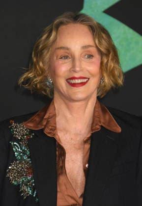 HOLLYWOOD, CA - FEBRUARY 17: Sharon Stone at the world premiere of The Bluff on February 17, 2026 at the TCL Chinese Theater in Hollywood, California, Copyright: xJeffreyxMayerx